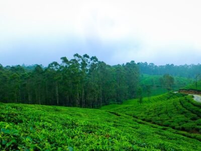 freepik__upload__35689