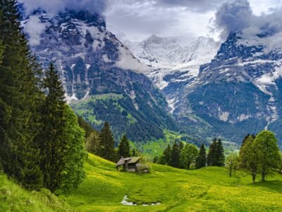 freepik__upload__77884