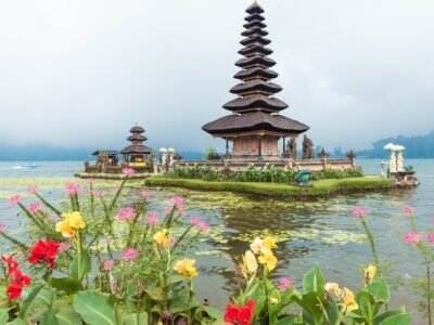 freepik__upload__8166